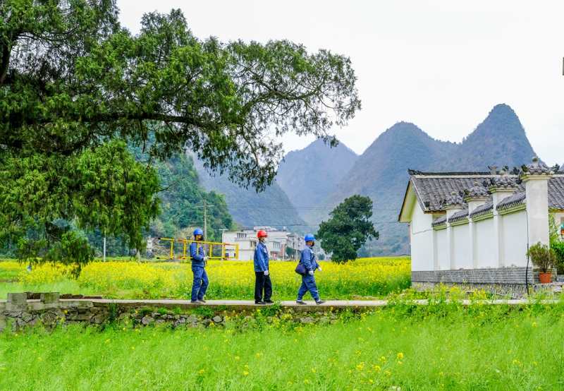 平塘供電局：“網(wǎng)格化”服務(wù)，護(hù)航“菜籃子”