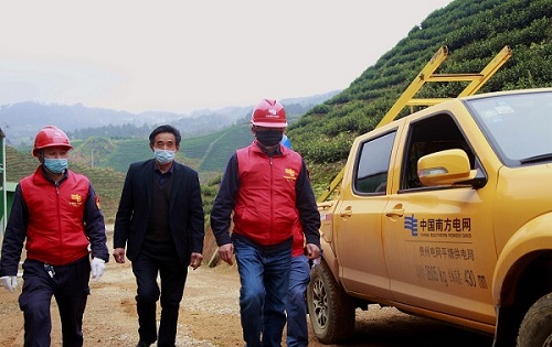 平塘供電局：“加減法”同構(gòu)服務(wù)，護(hù)航“貴州春茶第一壺”