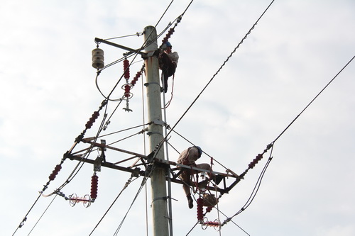國網(wǎng)霞浦供電公司加裝線路避雷器，保障兩節(jié)期間電網(wǎng)可靠性