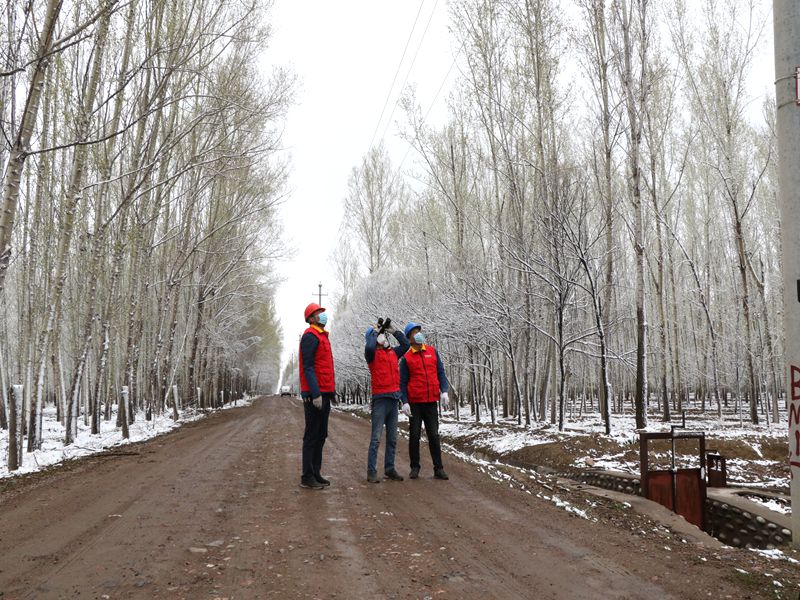 國網(wǎng)伊犁伊河供電公司四月飛雪，電力員工巡視線路保供電