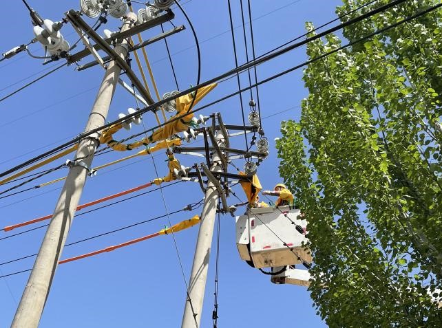 帶電作業(yè)除隱患，安全供電有保障