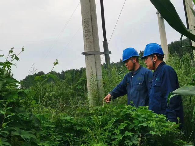 國網(wǎng)長(zhǎng)春供電公司積極應(yīng)對(duì)極端天氣，確保線路設(shè)備穩(wěn)定運(yùn)行
