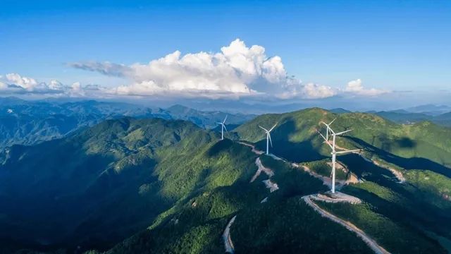 中國風(fēng)電企業(yè)出海，如何走得更遠?