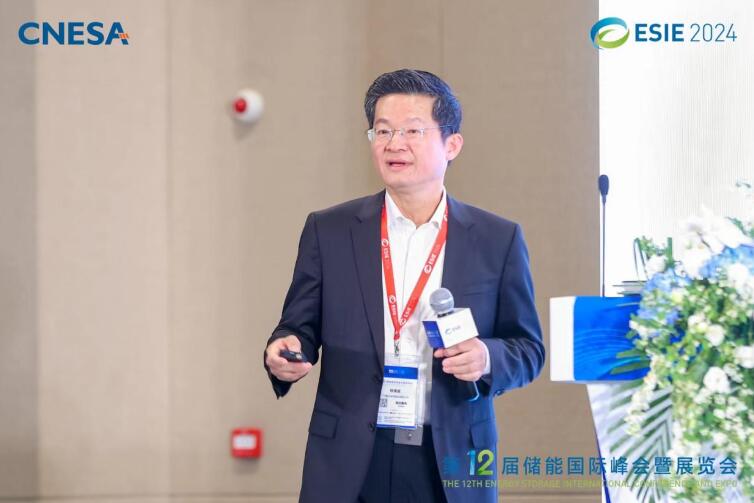 林澤波：儲能企業(yè)出海不是價格競爭，而是以定制優(yōu)質(zhì)產(chǎn)品和服務(wù)實現(xiàn)可持續(xù)發(fā)展