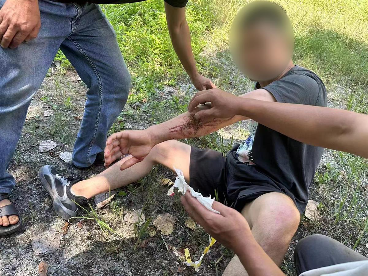 男子私設電網(wǎng)30余米，沒捕獲獵物卻電傷路人被刑拘