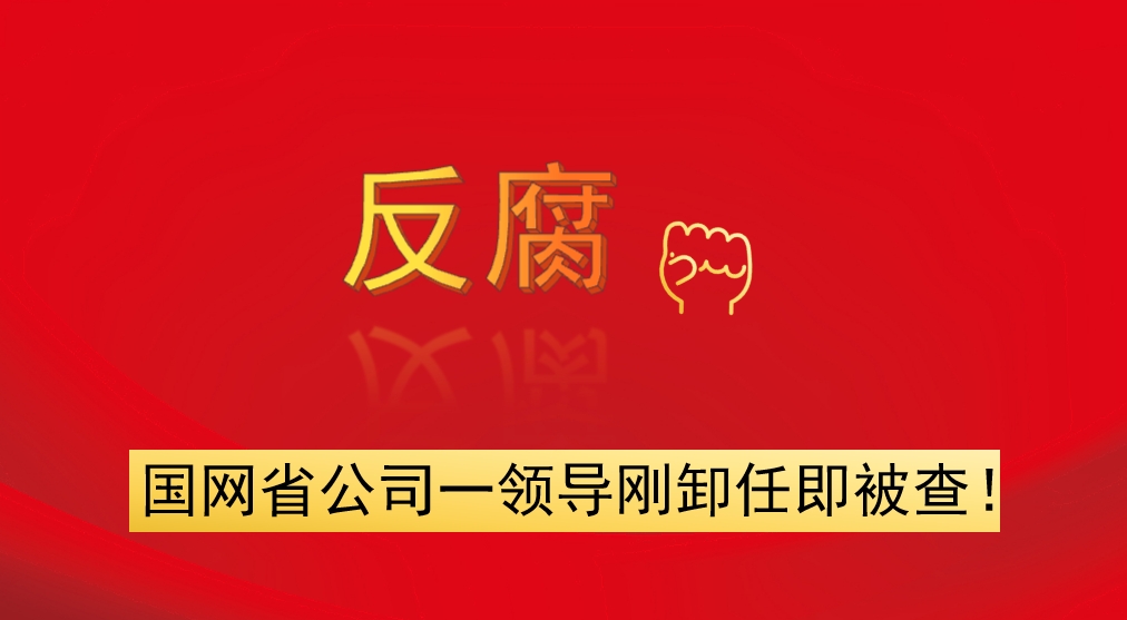 國網(wǎng)省公司一領(lǐng)導(dǎo)剛卸任即被查！